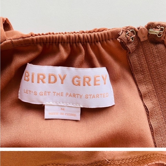 Birdy Grey Doris Dress Women’s size M Chiffon Desert Rose - Picture 6 of 7